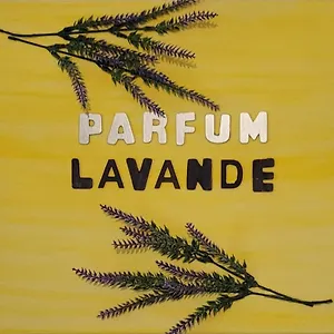Appartement Parfum Lavande, Grasse